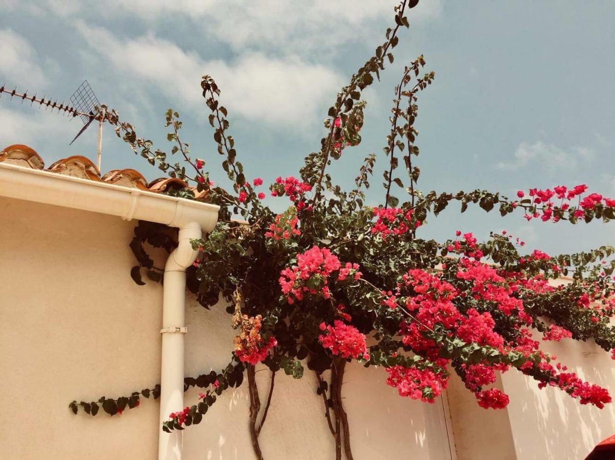 Lovely Apartment Old Town Denia Zewnętrze zdjęcie
